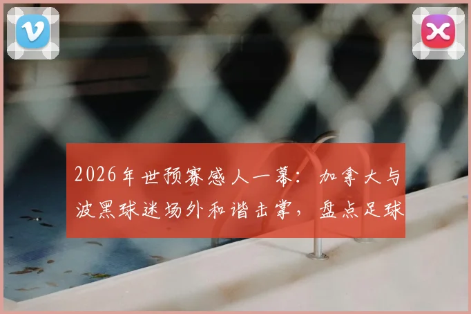 2026年世预赛感人一幕:加拿大与波黑球迷场外和谐击掌,盘点足球世界五大正能量球迷互动瞬间