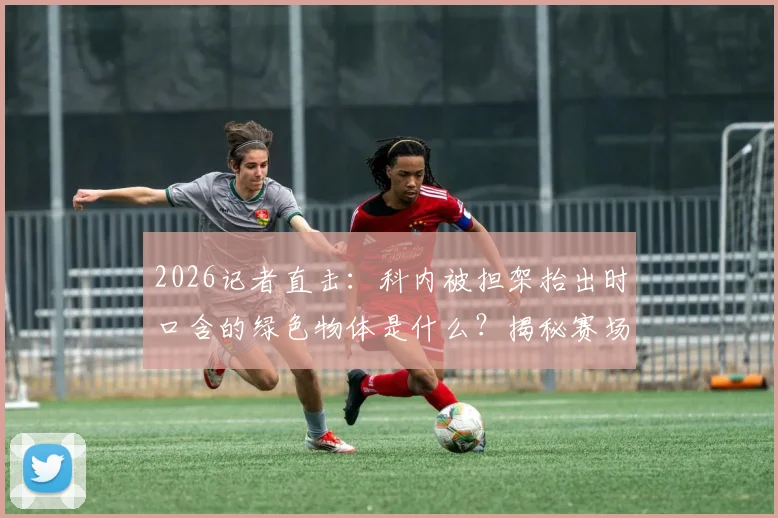 2026记者直击：科内被担架抬出时口含的绿色物体是什么？揭秘赛场速效止痛药使用真相